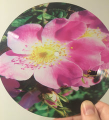 20 Lathe Cut Picture Disc Records