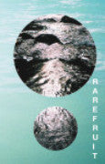 Rare Fruit - Disambiguation - Cassette (CCR-047)